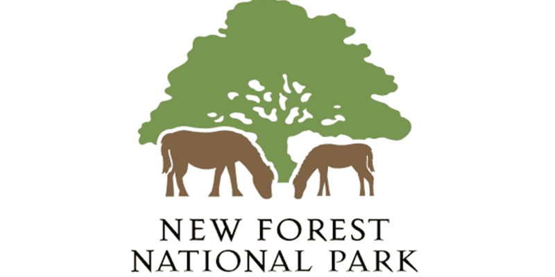 New Forest National Park CHAMPION