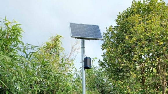 New Forest District Council approves new strategy for improved air quality