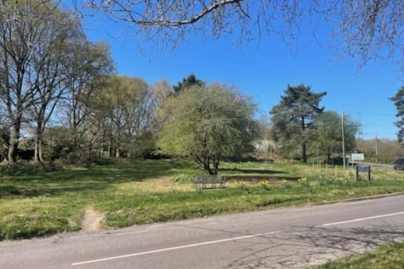 New Forest District Council invites residents to shape the future of Sandleheath