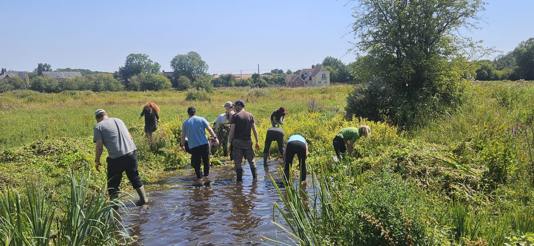 ArchitecturePLB - tackle River Test invasive himalayan balsam