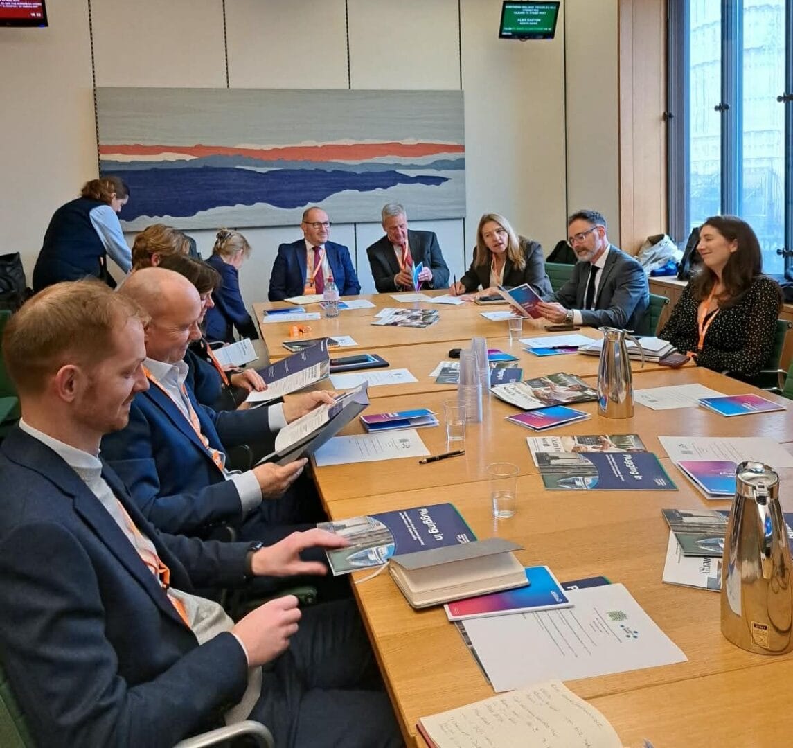 All-Party Parliamentary Group for the Central South