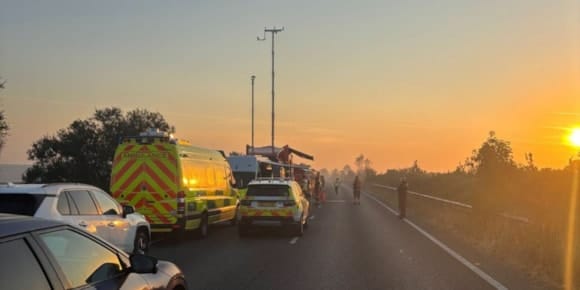 Protecting the New Forest. Learning from this summer’s wildfire